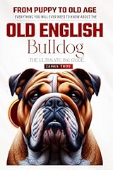 Old english bulldog for sale  Delivered anywhere in USA 