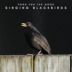 Singing blackbirds usato  Spedito ovunque in Italia 