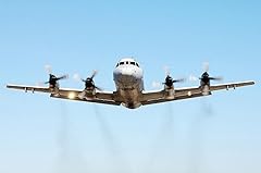 Compliance assistance navy for sale  Delivered anywhere in USA 