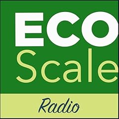 Eco scale radio usato  Spedito ovunque in Italia 