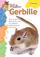 Gerbille d'occasion  Livré partout en Belgiqu
