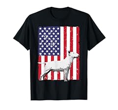 Cool bull terrier for sale  Delivered anywhere in USA 