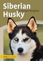 Siberian husky gebraucht kaufen  Wird an jeden Ort in Deutschland