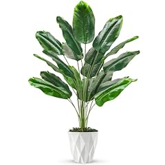 Der rose tall for sale  Delivered anywhere in USA 