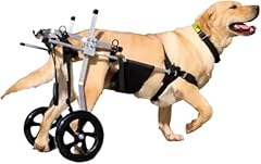 Fauteuil roulant chien d'occasion  Livré partout en France