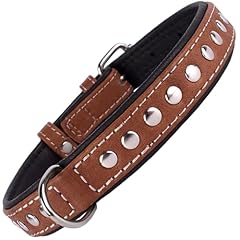 Collardirect studded dog for sale  Delivered anywhere in USA 