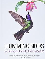 Hummingbirds life size for sale  Delivered anywhere in USA 