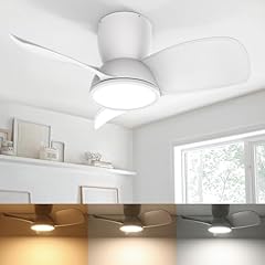 Ateroll ventilatore soffitto usato  Spedito ovunque in Italia 