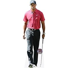 Tiger woods life for sale  Delivered anywhere in UK