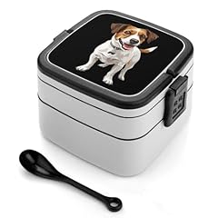 Jack russell terrier for sale  Delivered anywhere in UK