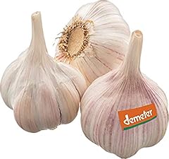 Bio knoblauch stück gebraucht kaufen  Wird an jeden Ort in Deutschland