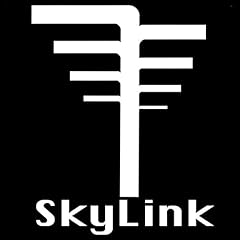 Skylink usato  Spedito ovunque in Italia 