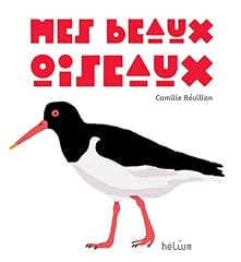 Beaux oiseaux d'occasion  Livré partout en Belgiqu