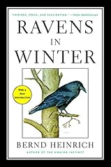 Ravens winter gebraucht kaufen  Wird an jeden Ort in Deutschland