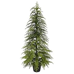 4ft norfolk pine for sale  Delivered anywhere in USA 
