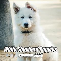 White shepherd puppies for sale  Delivered anywhere in UK