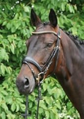 Hans melzer horse gebraucht kaufen  Wird an jeden Ort in Deutschland