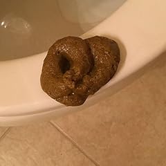 Qintreesify fake poopy for sale  Delivered anywhere in USA 