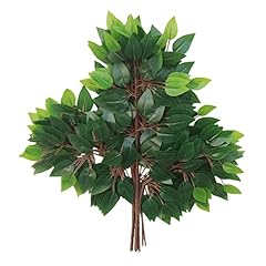 Funornam 12pcs ficus for sale  Delivered anywhere in USA 