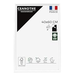 Ceanothe cadre photo d'occasion  Livré partout en France