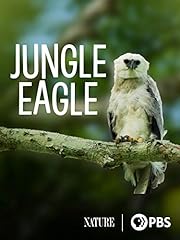 Jungle eagle for sale  Delivered anywhere in USA 
