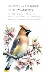 Cedar waxwing bird for sale  Delivered anywhere in UK