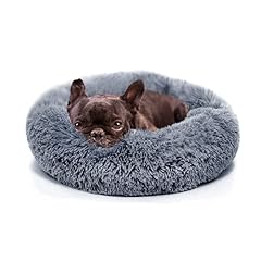 Small calming dogs for sale  Delivered anywhere in USA 