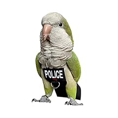 Bird clothes parrot for sale  Delivered anywhere in USA 