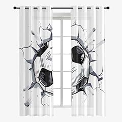 Hixingo sheer voile gebraucht kaufen  Wird an jeden Ort in Deutschland