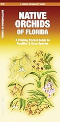 Native orchids florida for sale  Delivered anywhere in USA 