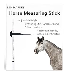 Lbh market horse for sale  Delivered anywhere in USA 