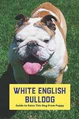 White english bulldog for sale  Delivered anywhere in UK