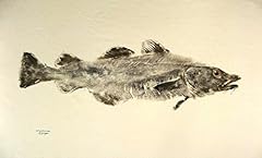 Atlantic cod gyotaku for sale  Delivered anywhere in USA 