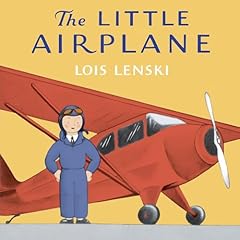 Little airplane for sale  Delivered anywhere in USA 