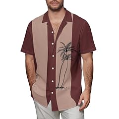 Chemise homme infroissable d'occasion  Livré partout en France