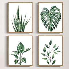 Drsoum botanical canvas for sale  Delivered anywhere in USA 