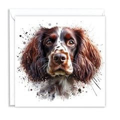 Springer spaniel liver for sale  Delivered anywhere in UK
