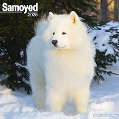 Samoyed calendar 2025 d'occasion  Livré partout en Belgiqu