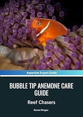 Bubble tip anemone for sale  Delivered anywhere in USA 