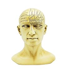 Fantasy gifts phrenology for sale  Delivered anywhere in USA 