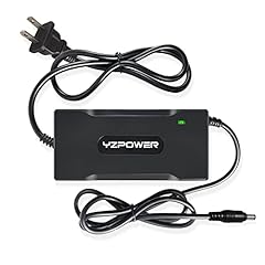 Yzpower 48v lithium for sale  Delivered anywhere in USA 