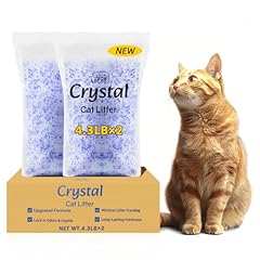 Lmjp crystal cat for sale  Delivered anywhere in USA 