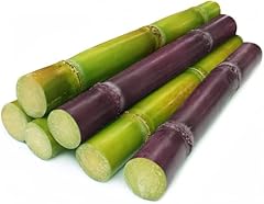 Fresh sugar cane for sale  Delivered anywhere in USA 