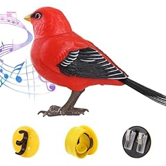 Electric singing chirping for sale  Delivered anywhere in USA 