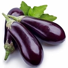 Aubergine 1kg for sale  Delivered anywhere in UK