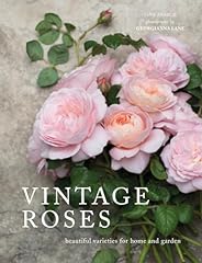 Vintage roses beautiful for sale  Delivered anywhere in USA 