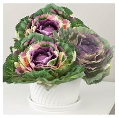 Pack individual artificial for sale  Delivered anywhere in USA 