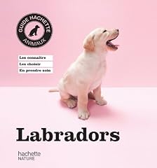 Labradors d'occasion  Livré partout en Belgiqu