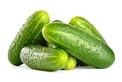 Vegetable plants cucumber for sale  Delivered anywhere in UK