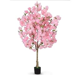 Liantral albero ciliegio usato  Spedito ovunque in Italia 